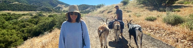 Hiking with Pack Goats 2024-hiking-with-pack-goats.jpg